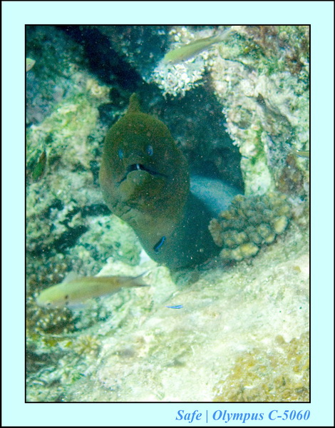 2008 - 07 - Redang - 033